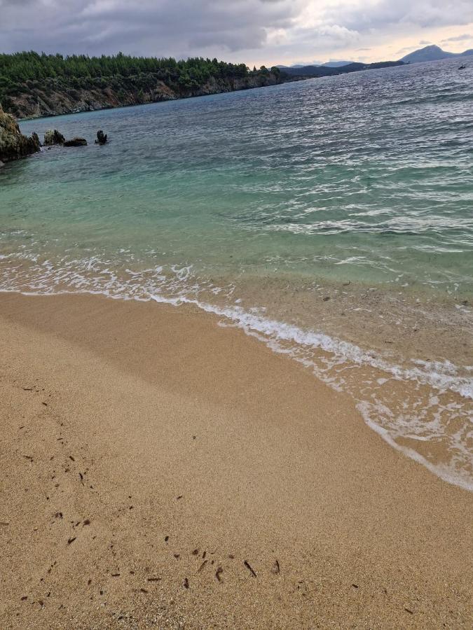 Apartment Luxury Ella Nikiti (Sithonia)